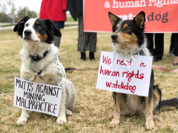 Activists brought real life 'watchdogs' to Parliament House lawns