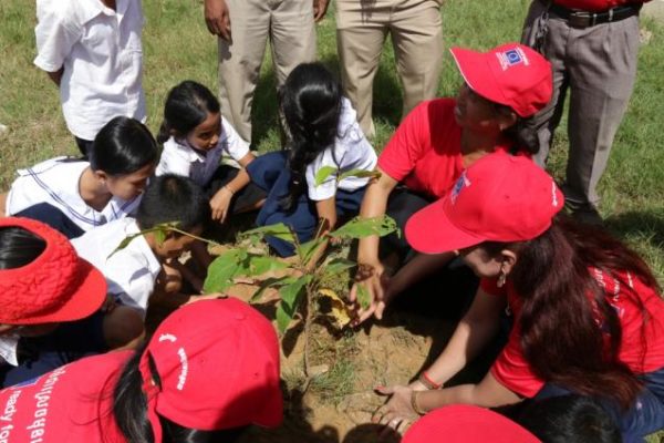 Tree planting as part of school DRR awareness days in Kampot